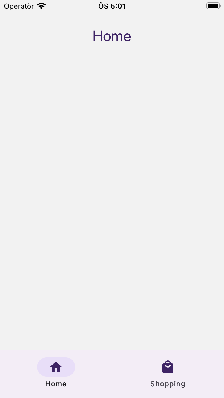 Home and Settings pages with Material Bottom Tabs Navigator for React Native app